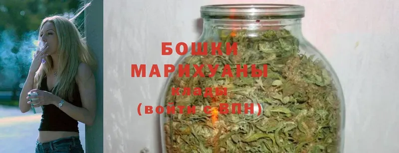 Шишки марихуана SATIVA & INDICA  как найти закладки  Камышлов 